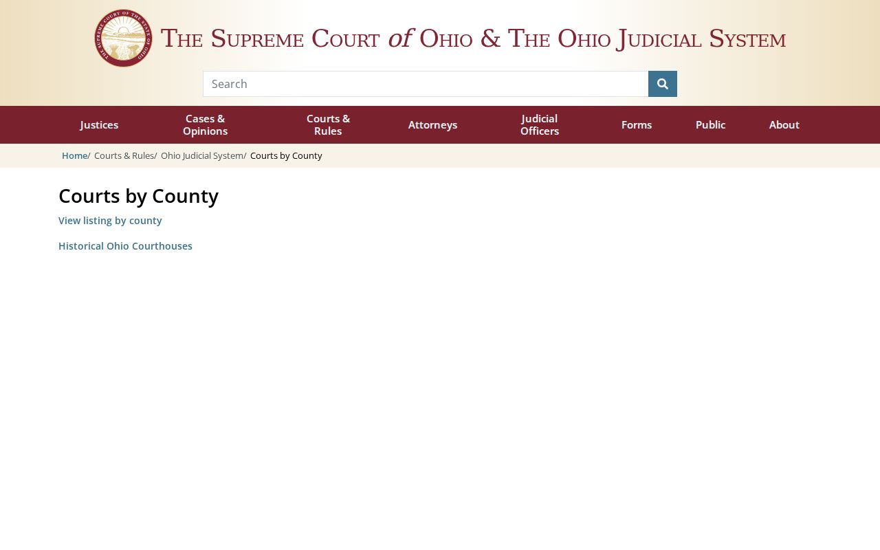 Lucas County court docket Ohio trial court directory